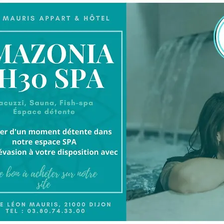 Leon-mauris Appart & & Aparthotel Dijon